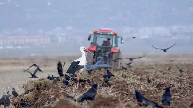 Erzurum, ülke sıralamasında 49'uncu oldu