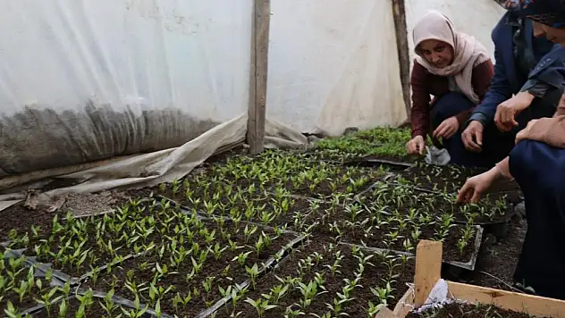 Bu Mahallenin sakinleri dışa bağımlı olmadan üretim yapıyor