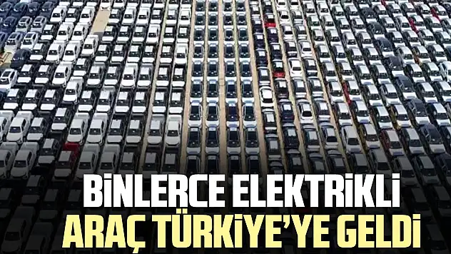 Binlerce elektrikli araç TÜRKiYE'YE GELDi