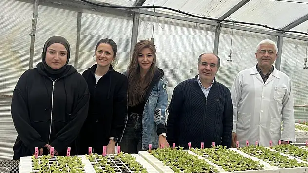 Proje sonucu rekabet edİlebilecek