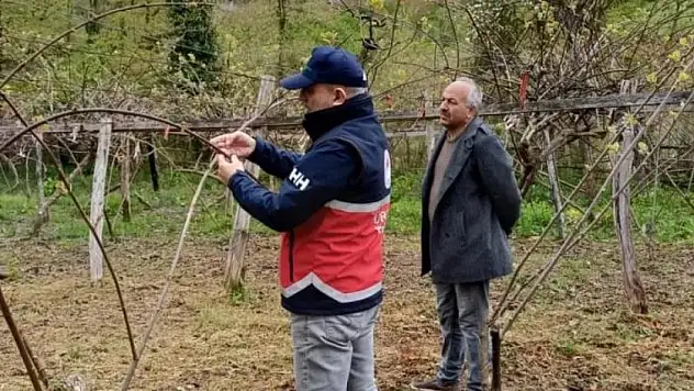 Zirai don sonrası tek tek incelendi, durum kritik