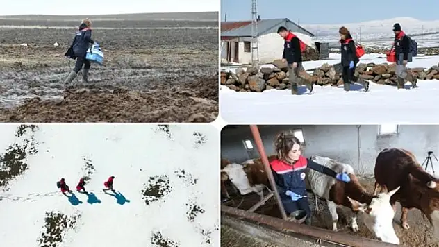 Veteriner hekimler her koşulda sahada