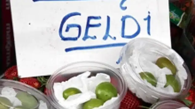 Erik Tanesi 5 Liradan Tezgahlarda