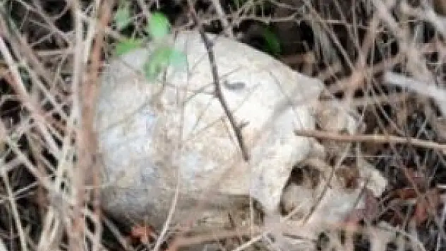 Topraktan şehit kemikleri fışkırdı