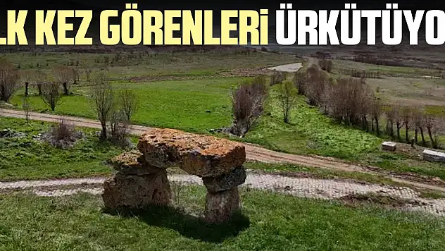iLK KEZ GÖRENLERi ÜRKÜTÜYOR