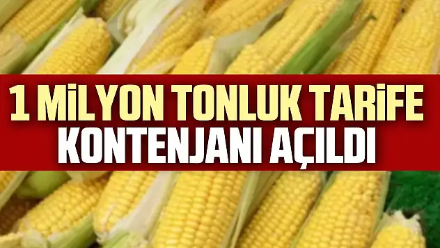 1 milyon tonluk tarife kontenjanı açıldı