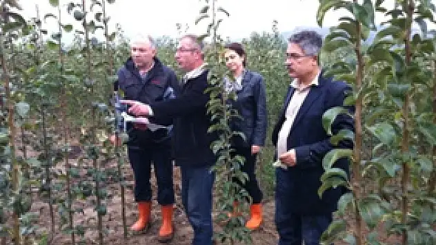 Bitki de pasaport uygulaması başladı