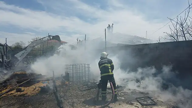 Samanlıkta çıkan yangın eve sıçradı