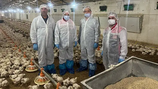 Tavuk eti ihraç edilerek ülke ekonomisine katkı sağlıyor