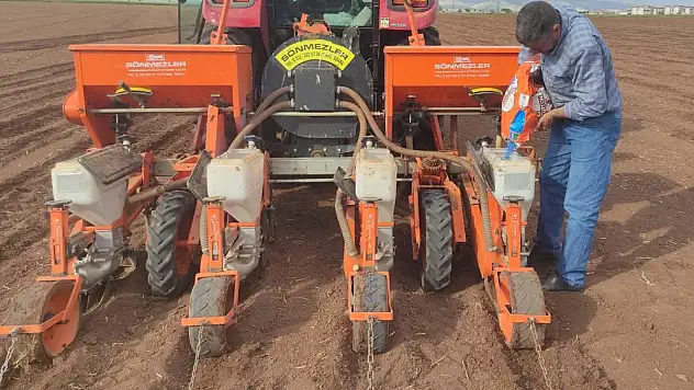 Araban Ovası'nda pamuk ekimine başlandı