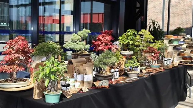 Kocaeli'de V. Ulusal Bonsai Sergisi ve Sempozyumu