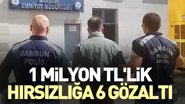 1 milyon TL'lik hırsızlığa 6 gözaltı