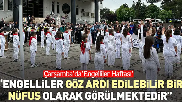 'Engelliler göz ardı edilebilir bir nüfus olarak görülmektedir'