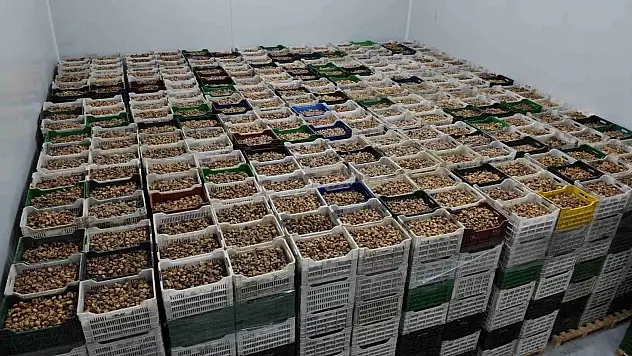 İhracat yüzde 28 büyüdü