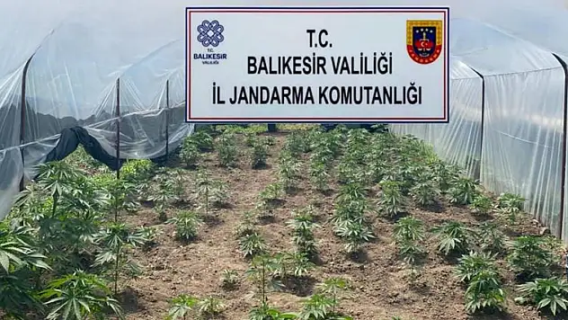 Balıkesir'de geniş çaplı operasyon