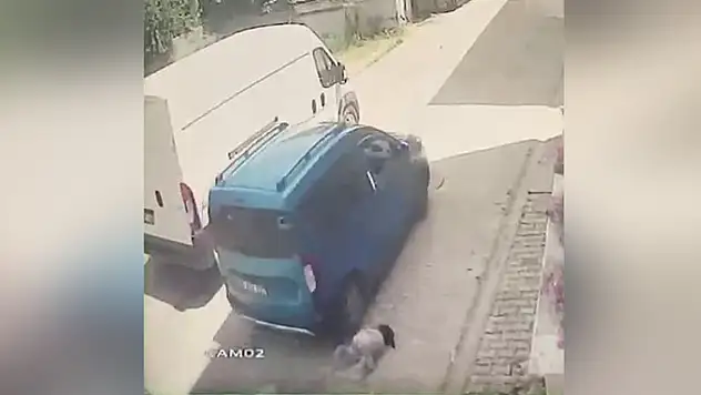 Sultanbeyli'de feci kaza