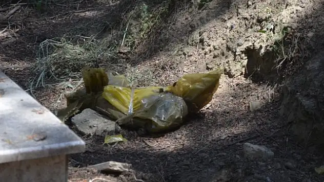 Mezarlıktaki naylon poşet tedirginlik yarattı