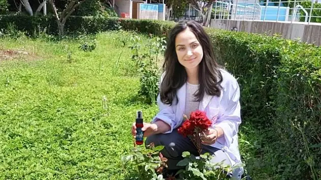 Gülün frekansı tıp dünyasında kullanılacak