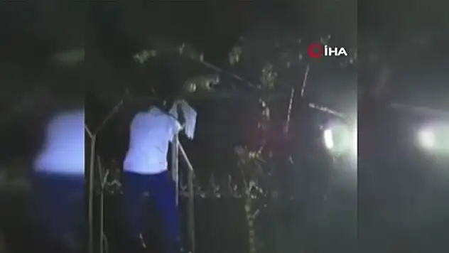 Uyuşturucu kaçakçılığında kediyi kullandılar