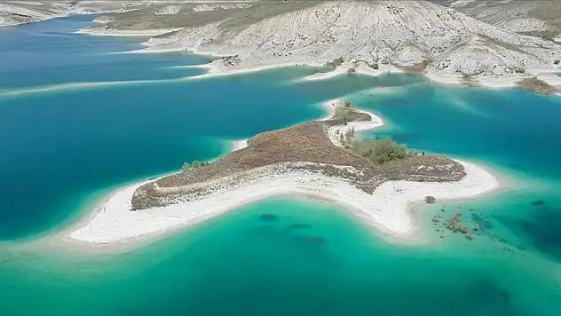 Martılara özel ada