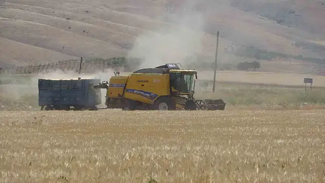 Adıyaman'da hububat hasadı