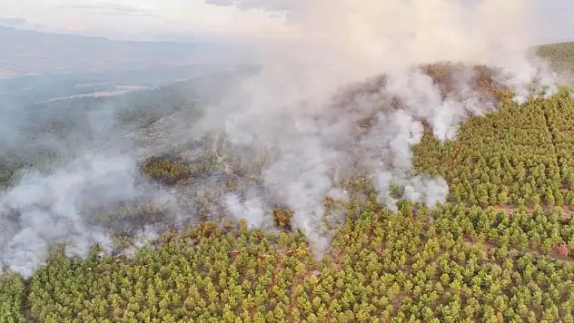 Karagöl: '40 hektarlık bir alan yandı diye tahmin ediyoruz'