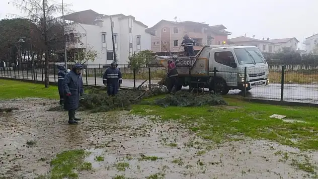 Ordu'da fırtına 12 çatıyı uçurdu