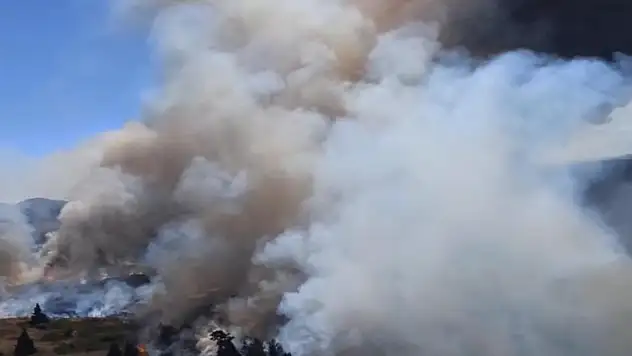 Bolu'daki orman yangınına 18 helikopter, 2 uçak ve 42 arazözle müdahale sürüyor