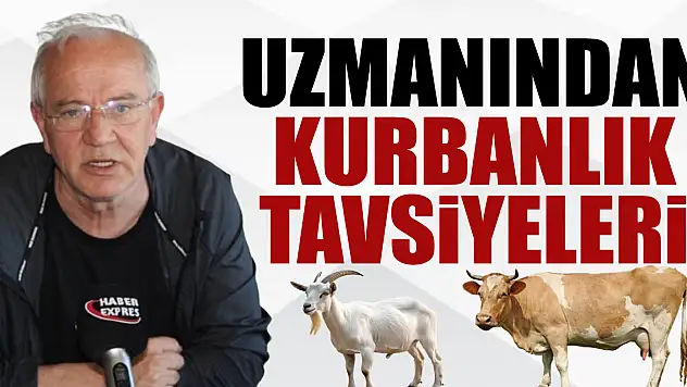Uzmanından Kurbanlık tavsiyeleri