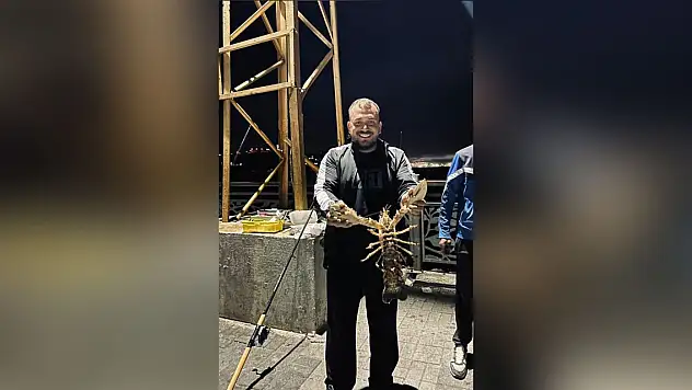 Dev istakoz ağlara takıldı