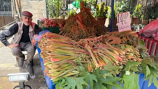 Doğal şifa kaynağı uçkun