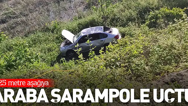 Araba Şarampole Uçtu