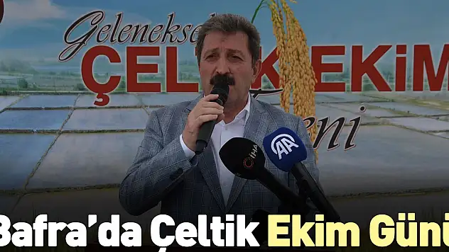 Bafra'da Çeltik Ekim Günü
