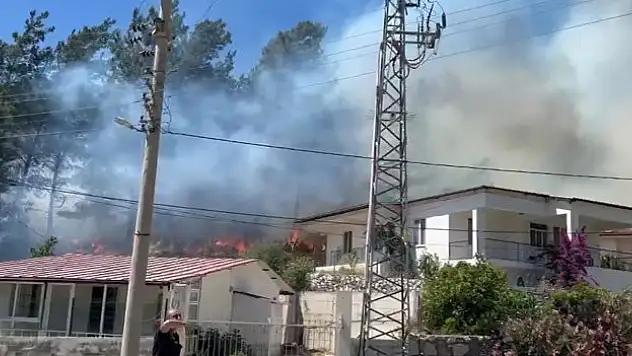 Muğla'da orman yangını