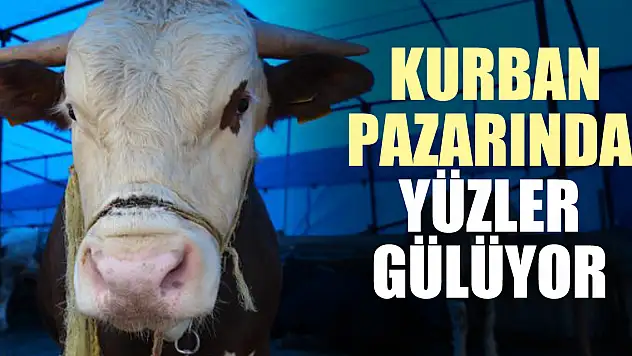 KURBAN PAZARINDA YÜZLER GÜLÜYOR 'Bu sene bereketli geçti'