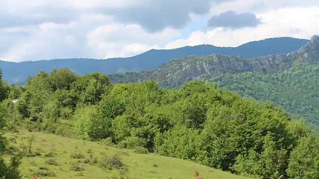 Yılkı atları yaylalarda görünmeye başladı