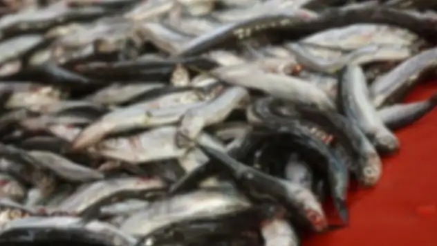 Balık dolu kasa üzerine düştü