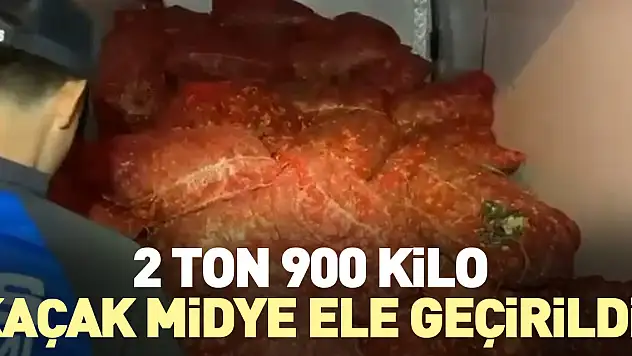 2 ton 900 kilo kaçak midye ele geçirildi