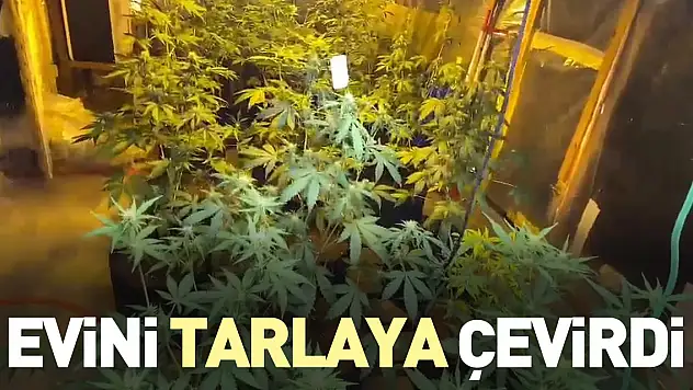 Evini tarlaya çevirdi