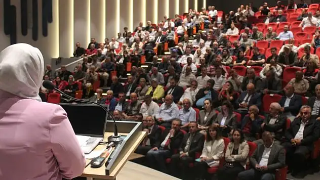 Kahverengi kokarca paneli