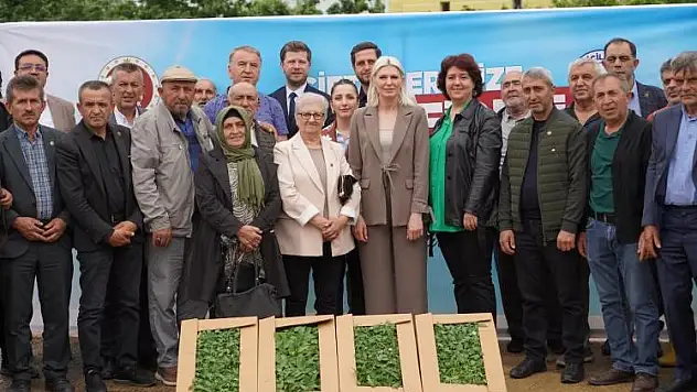 42 bin kök fide muhtarlara teslim edildi
