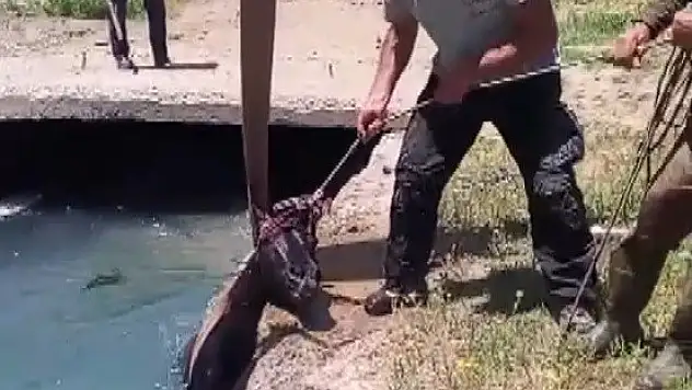 3 gündür kayıptı, bakın nerede bulundu ?