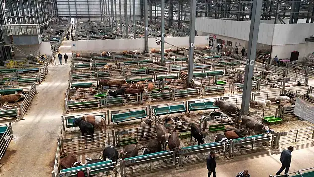 5 yılda 2 milyon kişi ziyaret etti