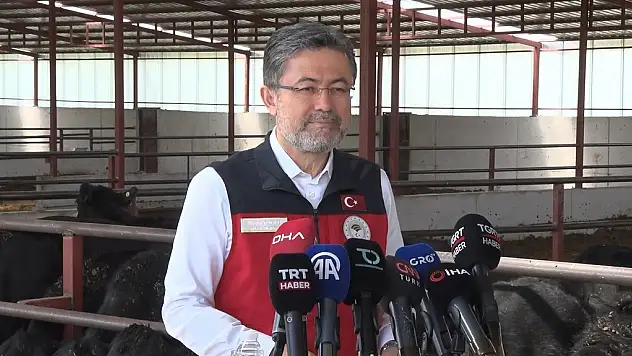 'Hayvan başına aylık 1500 lira, yıllık toplam 18 bin lira bakım ve besleme desteği vereceğiz'