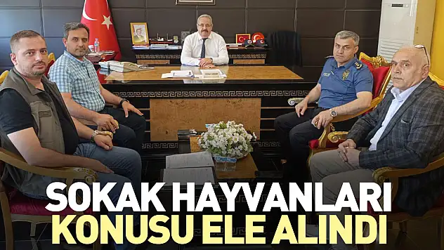 Sokak Hayvanları Konusu Ele Alındı