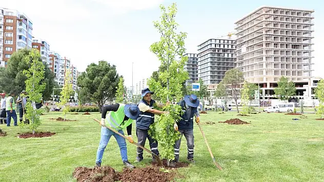 Diyarbakır'da peyzaj çalışmaları devam ediyor