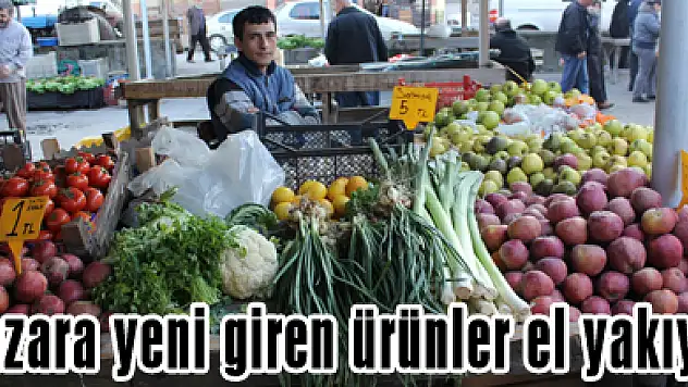 Pazara yeni giren ürünler el yakıyor