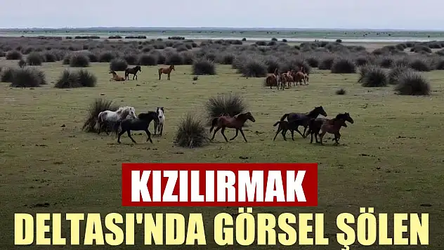 Kızılırmak Deltası'nda görsel şölen