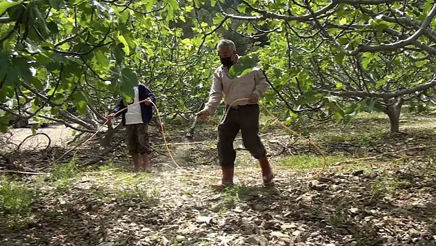 Yeni sezon hazırlıkları başladı