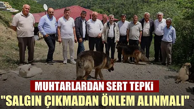 Muhtarlardan sert tepki: 'Salgın çıkmadan önlem alınmalı'